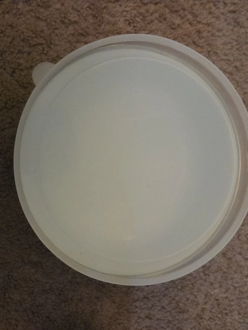 Vintage Enamel Stackable Holiday Holly Mixing Bowls with Lids - White and Green